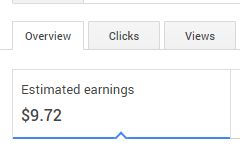 self made website earnings