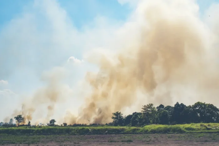 burning season in Thailand