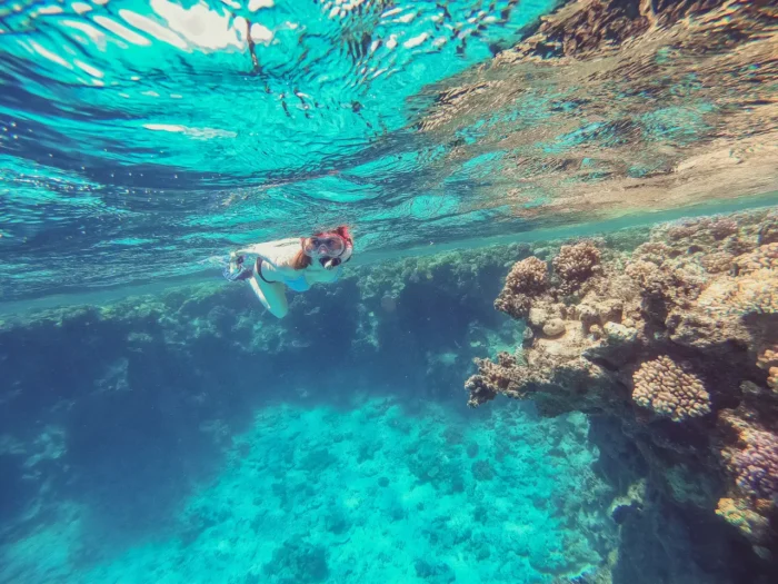 Snorkeling in Red Beach Santorini