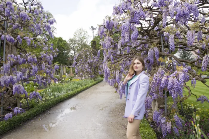 Kawachi Fuji Wisteria Garden and tourist