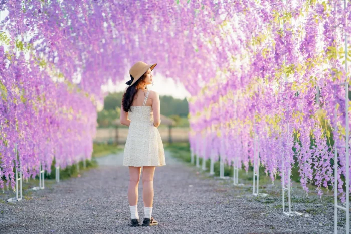 girl in Kawachi Fuji Wisteria Garden