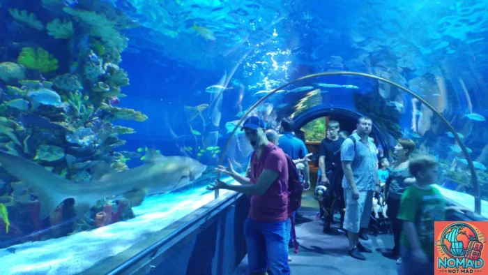 Tropicarium in Budapest