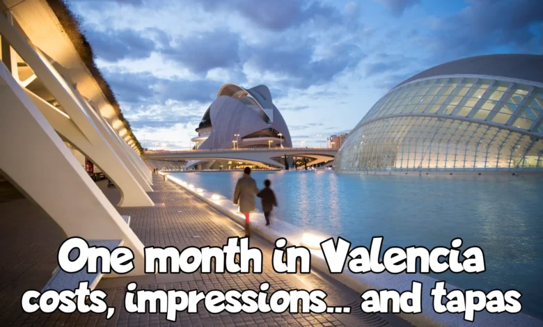 One month in Valencia Featured image